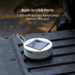 Solar String 18' Color