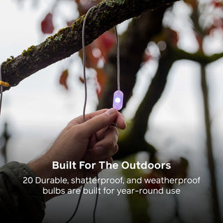 Solar String Lights: 44' Color