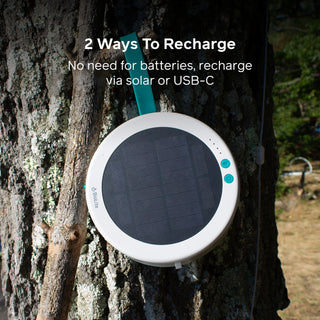 Solar String Lights: 44' Color