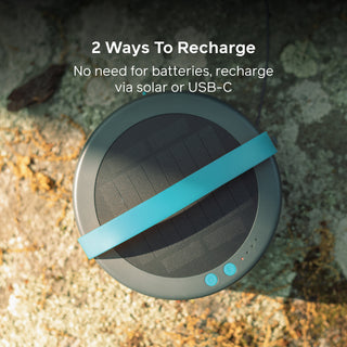 Solar String Lights: 44' in White